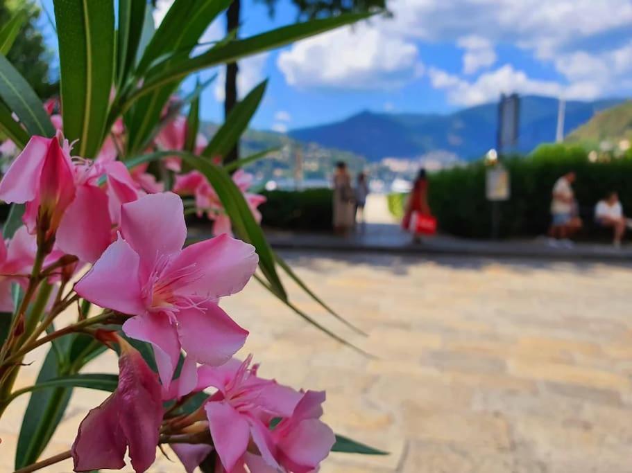 Plaza Deluxe Modern Center House - View Como Lake - Top Privacy 外观 照片